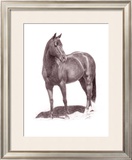 Calypso Pony Framed Giclee Print by Lorrie Beck