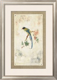 Blue Magpie Print by Jillian David