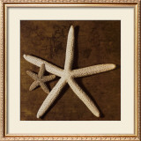 Starfish Art by Caroline Kelly