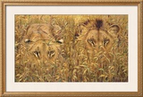 Four Eyes Prints by Guy Coheleach