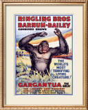 Ringling Brothers: Gargantua the Great Framed Giclee Print