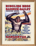 Ringling Brothers: Gargantua the Great Framed Giclee Print