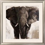 Elephant Prints by Emmanual Michel