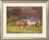 Arabians After a Storm Posters by Jenness Cortez