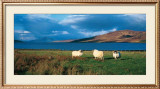 Isle of Skye Posters by Thierry Martinez