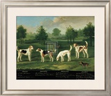 Two Couples of Hounds in a Park Posters by Francis Sartorius
