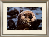 Remember Valdez Prints by Bob Talbot