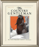 Beaver in Winter, c.1916 Framed Giclee Print by Charles Livingston Bull