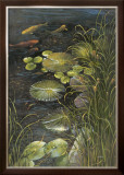 Koi Pond Prints by Elise Lunden