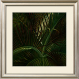 Exotic Passage Poster by Verdi 