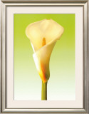 Green Callas Trilogy II Art by Inka Vogel