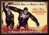 Ringling Brothers: Mr. and Mrs. Gargantua the Great Framed Giclee Print