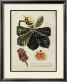 Crackled Paradise Foliage II Posters