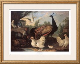 Barnyard with Chickens Print by Melchior d'Hondecoeter