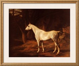 Forest Dapple Prints by Jacques-Laurent Agasse