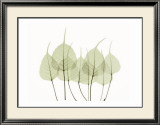 Woodlands I Posters by Acee 