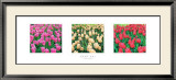 Tulip Panel Posters by Bent Rej