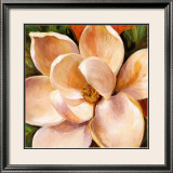 Magnolia Glow II Print by Liv Carson