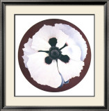 Poppy, 1980 Art by Lowell Nesbitt