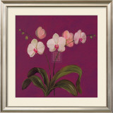 Moon Shadows IV Prints by Mimi Roberts
