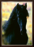 Unknown Framed Giclee Print by Mark Barrett