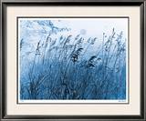 Pastoral Delight Limited Edition Framed Print by Lilli Farrell