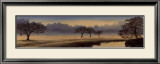 A Perfect Morning I Posters by Isabel Martinez