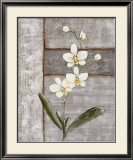 Orchid Shimmer I Art by O. Braun