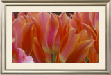 Tulips Posters by Robin Constable Hanson