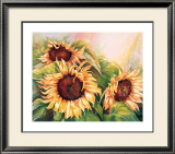 Sunflower Trio Posters by Renée Mizgala