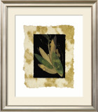 Floral Noir II Prints by Phillip Jaeger