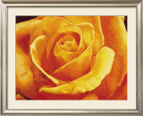 Gaiezza Prints by S. Re