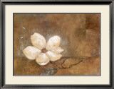 Magnolia in Bloom Art by Carmen Dolce
