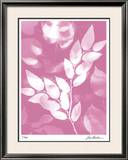 Flower Shadow VI Limited Edition Framed Print by Lois Bender