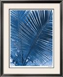 Tropical Meditation Limited Edition Framed Print by Lilli Farrell