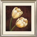 Ornamental Tulips Print by Andres Gonzales