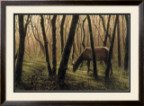Day's End Prints by Shawn Gould
