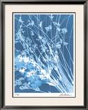 Flower Shadow IV Limited Edition Framed Print by Lois Bender