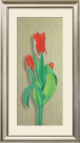 Tulip Prints by M. Allegri