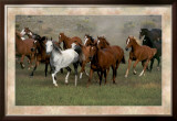 Wild Horses Print by Ron Kimball
