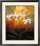 Orchids Posters by Jill Deveraux