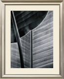 Bird of Paradise Prints by Chris Honeysett