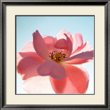 Schwingung Prints by Ingrid Ulmer