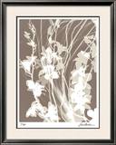 Flower Shadow I Limited Edition Framed Print by Lois Bender