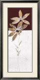 Flor Marron I Prints by Selena 