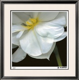 O'Keeffe Jonquil Limited Edition Framed Print by Pip Bloomfield