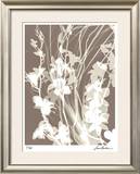 Flower Shadow I Limited Edition Framed Print by Lois Bender