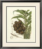 Island Fruits I Prints by Berthe Hoola Van Nooten