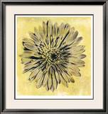Evoke I Limited Edition Framed Print by Sara Abbott