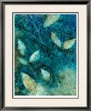 Natural Selection I Limited Edition Framed Print by Caroline Ashton